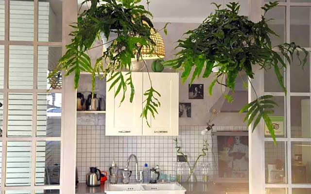 B&B La Volpina