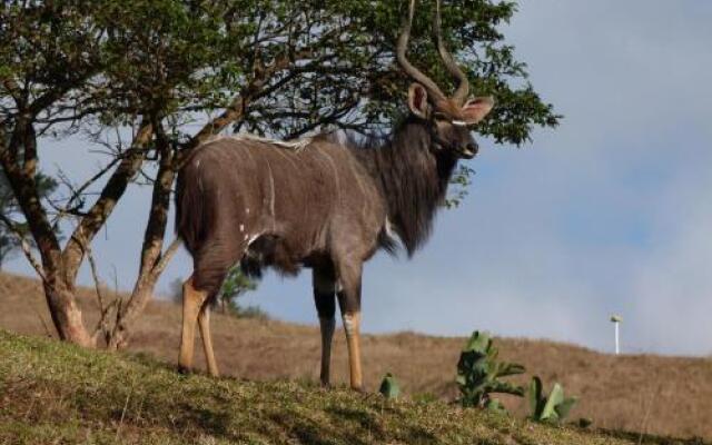 Nyala Guest House