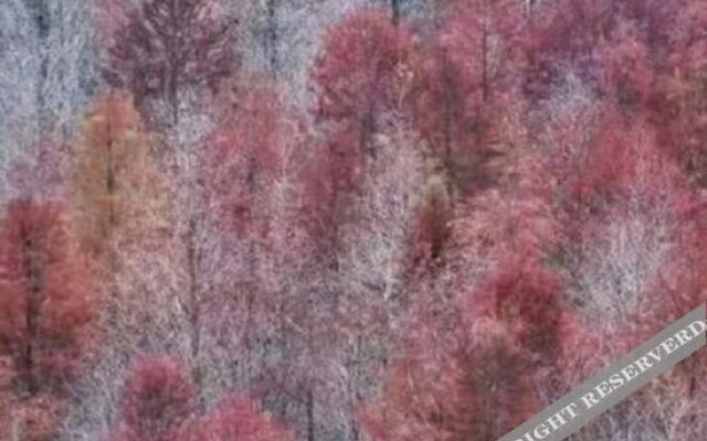 Yunhe Yuntianyu Station Nongjiale