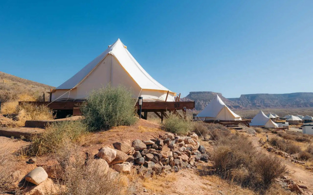 Zion Wildflower, BW Premier Collection