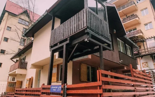 Spacious Apartment near Peles