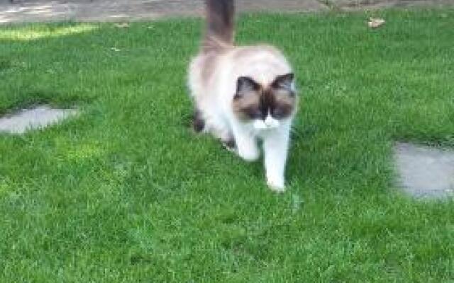 Casa da Quinta De S. Martinho