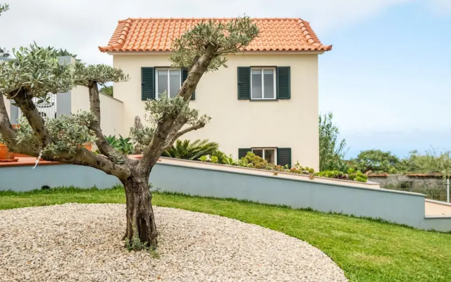 Palheiro Simone by Homie