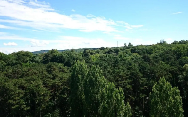 Neptun Apartman