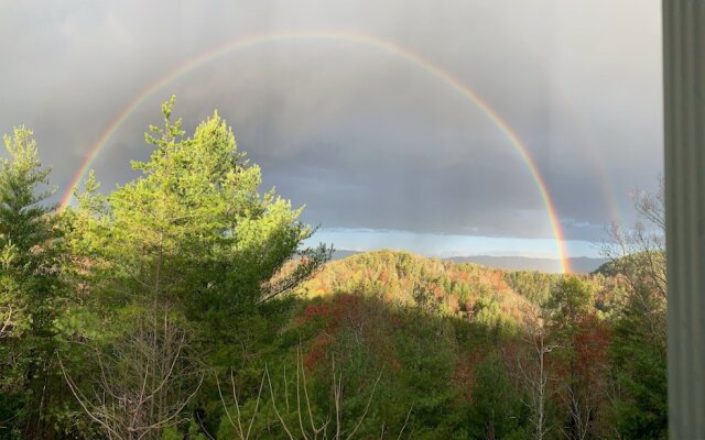 Horsin Around Tennessee