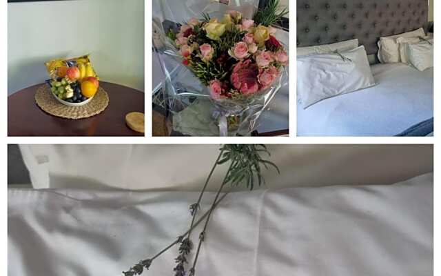 Bio-Pointment Guest Cottage