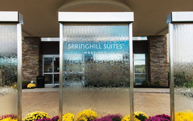 Springhill Suites Somerset Franklin Township