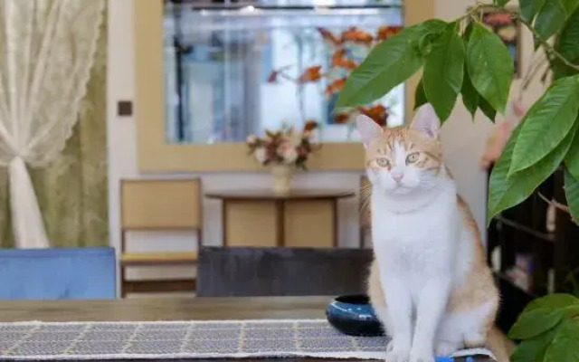 Langlangshan Homestay