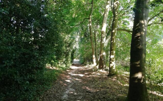 Château de la Bucaille - entier