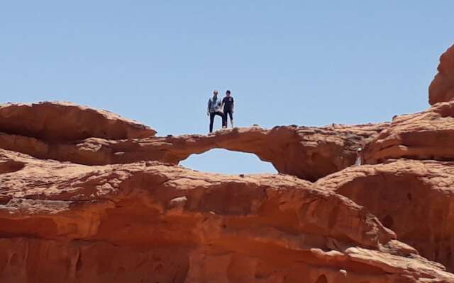 Wild Wadi Rum