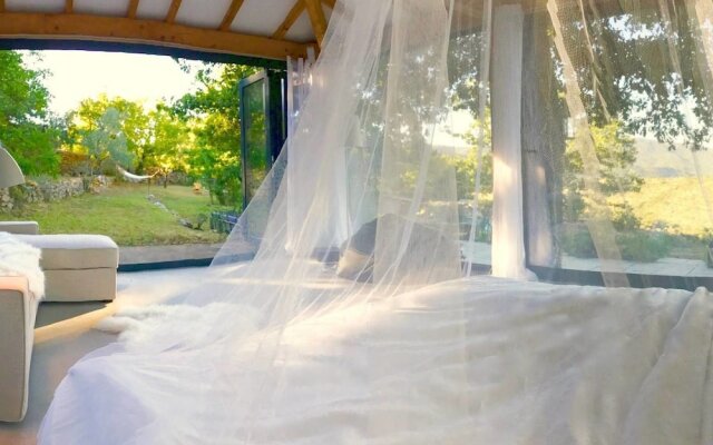 Wild Boar Mountain - France