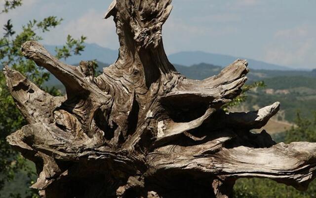 Villa Nel Chianti Senese