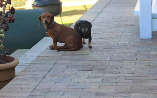 14 Penguin Place, Melkbosstrand