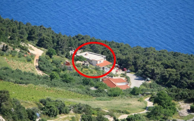 Studio Sveta Nedilja 8792a