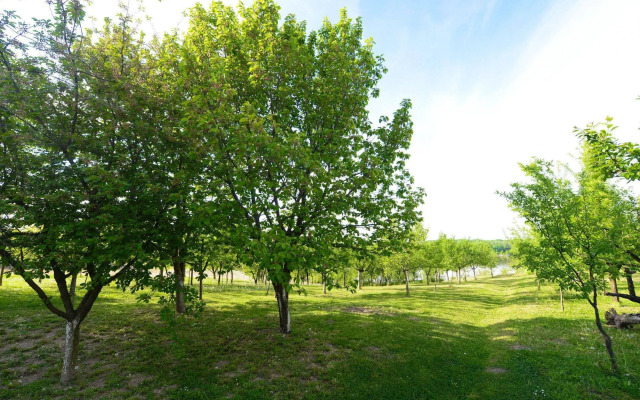 Biser Dunava