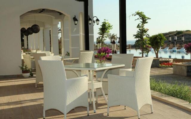 Oasis Beach Club