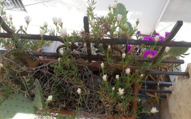 Stadthaus Florensac Dachterrasse max. 7 Personen