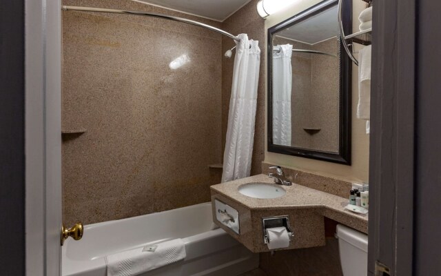 Comfort Inn Toronto Airport