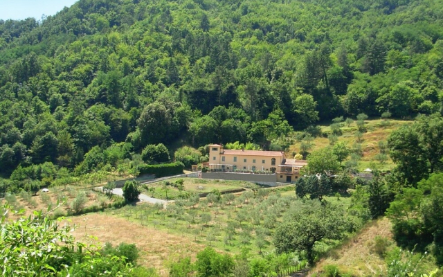 Agriturismo Podere Borsano