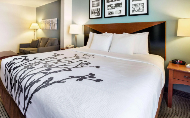 Sleep Inn & Suites Rapid City