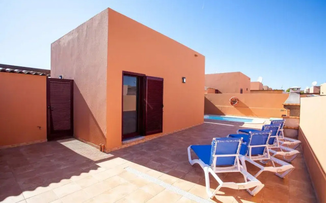 Anahi Home Dracaena 2