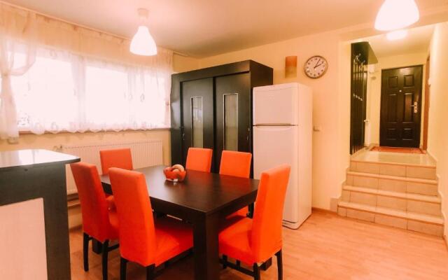 Spacious Apartment near Peles