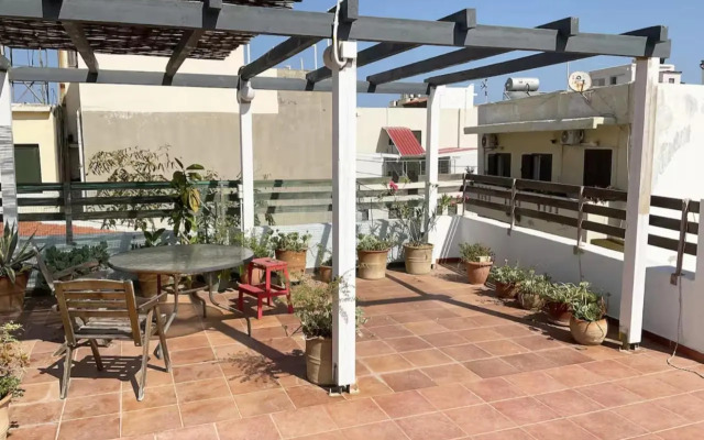 Stylish Art House Palmeti