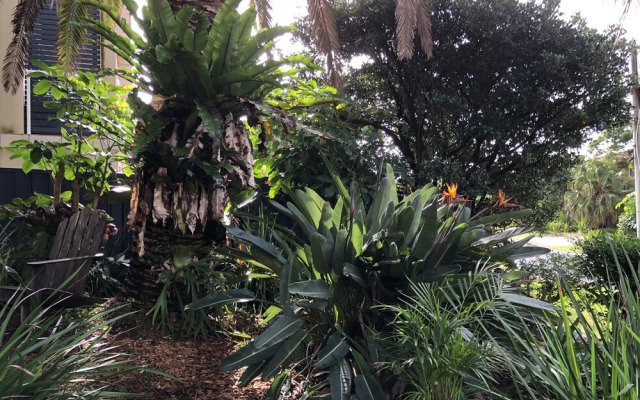 Shorebreak Beach House
