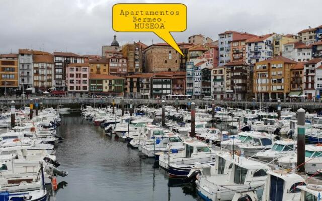 Apartamentos Bermeo, Museoa