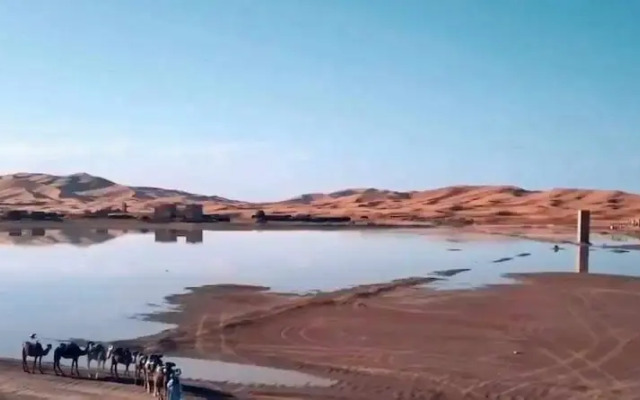 Royal Desert Bivouac