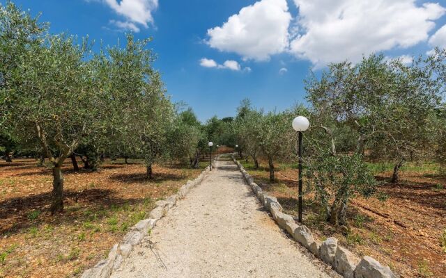 Tenuta Cicconi