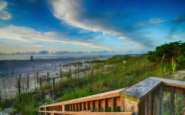 Shell Island Resort - All Oceanfront Suites
