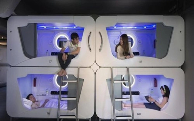 Lavish Capsule