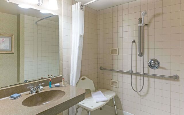 Spark by Hilton Tupelo