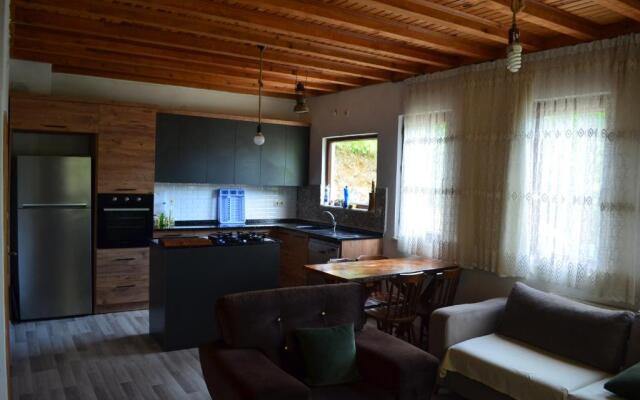 Trabzon green valley villa