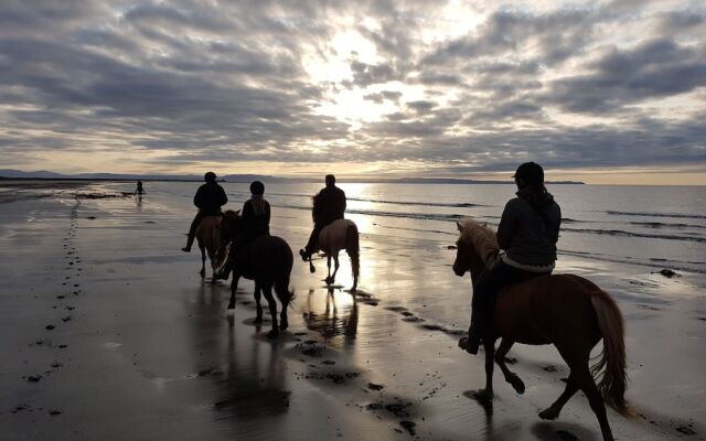 Grásteinn Guesthouse