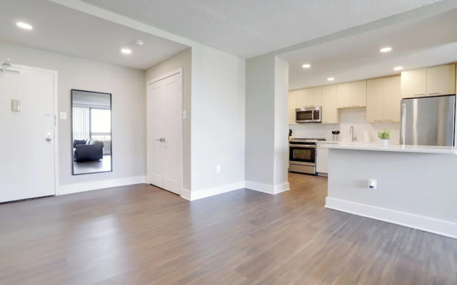 Crystal City Modern Apt w Gym