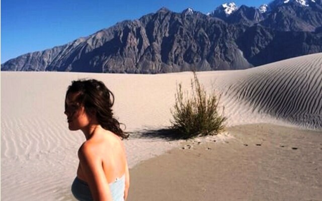 Cold Desert Camp