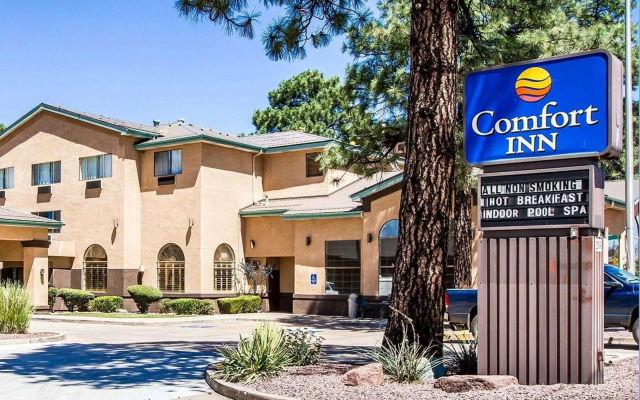 Comfort Inn Payson