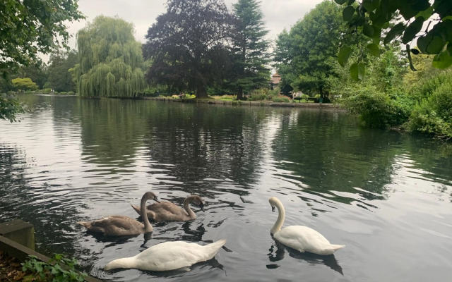 Beddington Park Lodge West