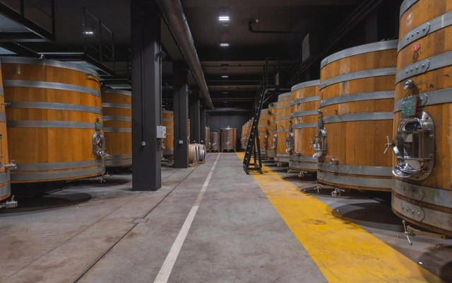 Winery & Design hotel ROXANICH