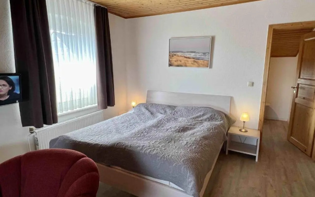 Hagelstein IV "Feuerstein"