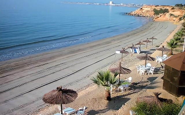 La Zenia T.Experience