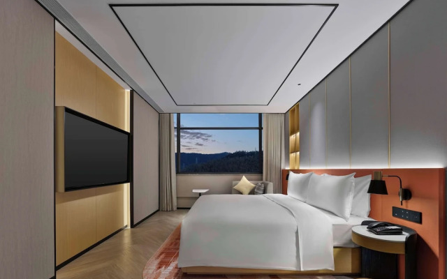 Hilton Garden Inn Huangshan Scenic Area South Gate