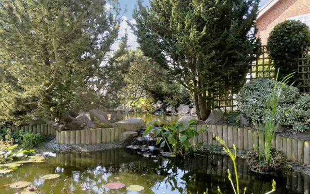 Pheasant Roost
