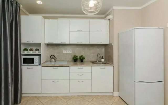 Apartments Aparts Pro Plus on Revolyutsionnaya street, 101B