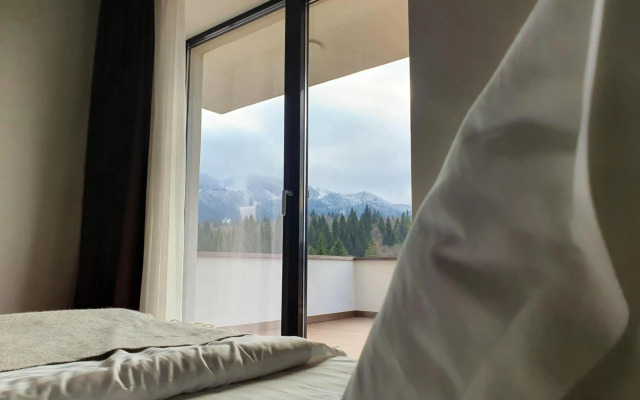 Silver Fox Residence