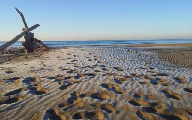 Camping Abri de Camargue