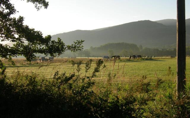 Mas d'Aravó
