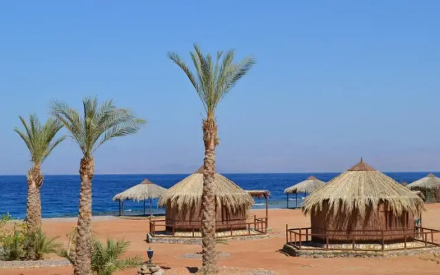 Castle Beach